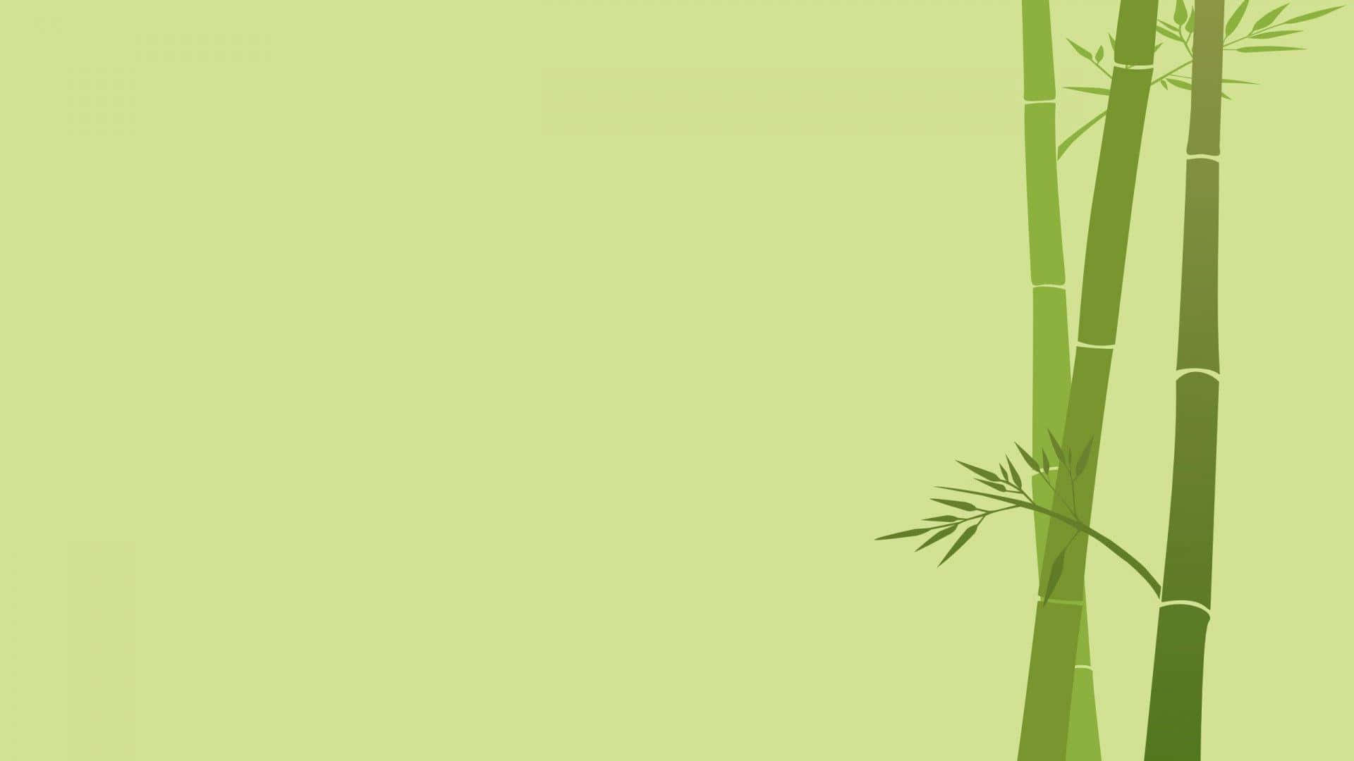 Einfachesund Minimalistisches Bambus-desktop Wallpaper