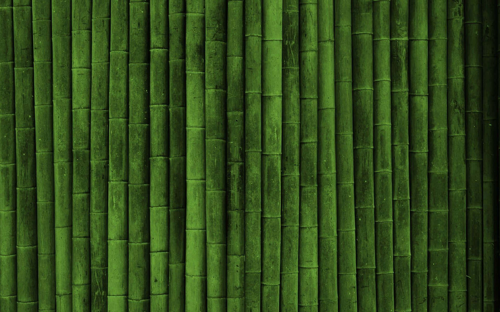 Prenditiuna Pausa Con Uno Sfondo Ispirato Alla Natura, Realizzato Con Bamboù Per Il Desktop. Sfondo