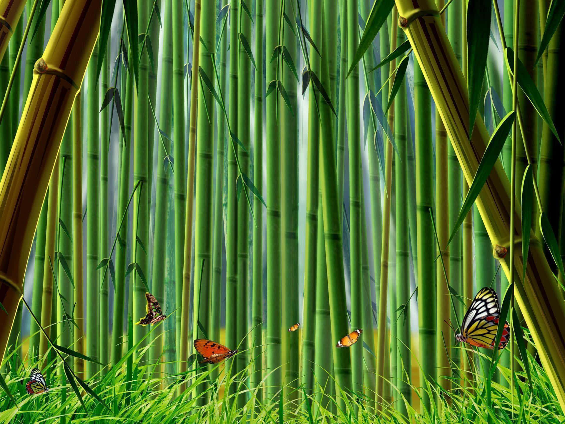 Lussureggiantie Verdi Bambù Su Uno Sfondo Per Desktop Sfondo