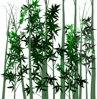 Bamboo Forest Night Scene PNG