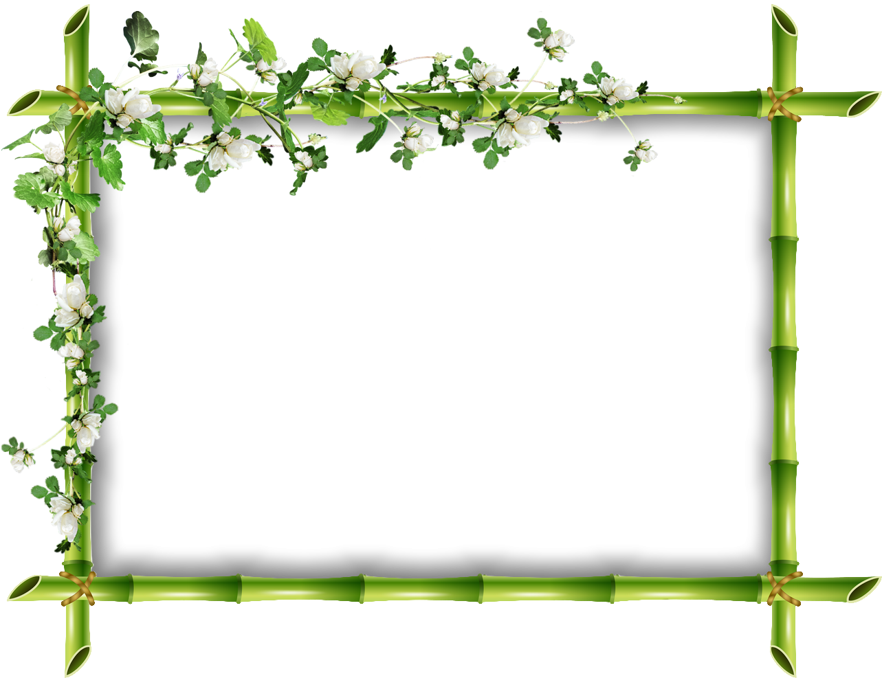 Bamboo Frame Floral Design PNG