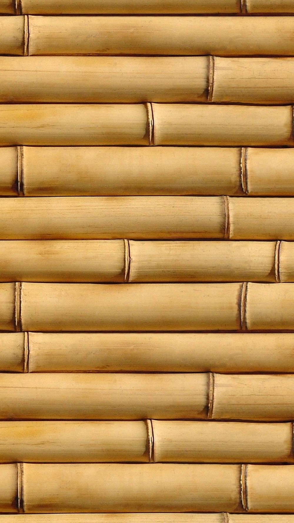 Wallpaperpadrão De Bambu Para Papel De Parede Do Iphone. Papel de Parede