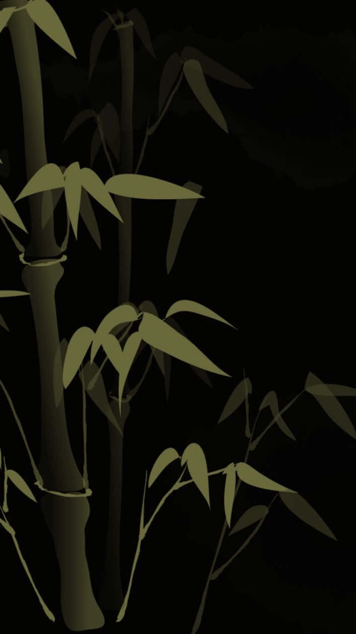Unárbol De Bambú Con Hojas Sobre Un Fondo Negro Fondo de pantalla