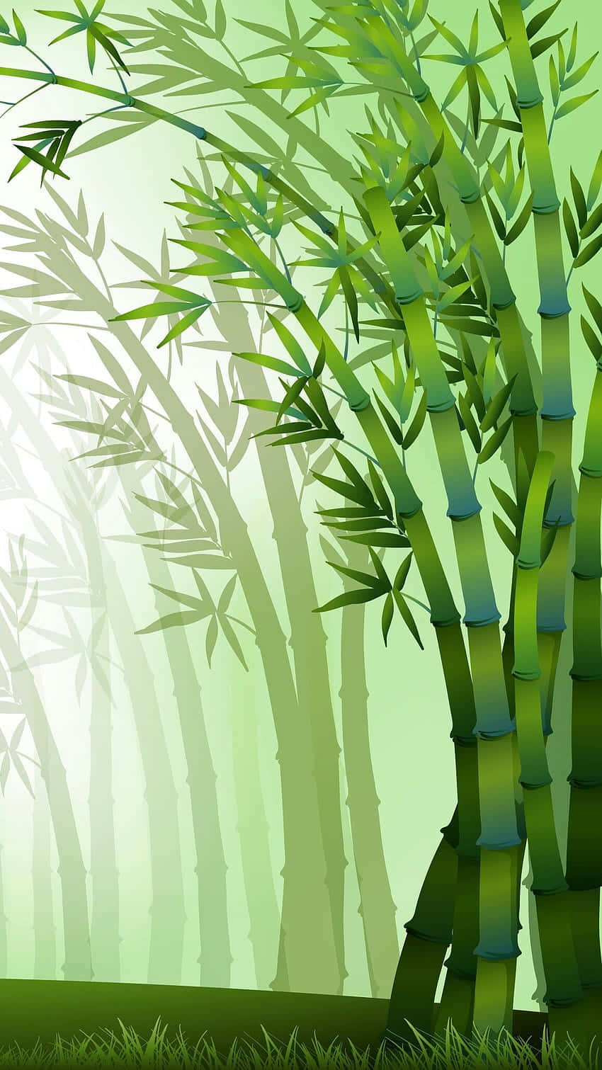 Árbolesde Bambú En El Bosque Fondo de pantalla