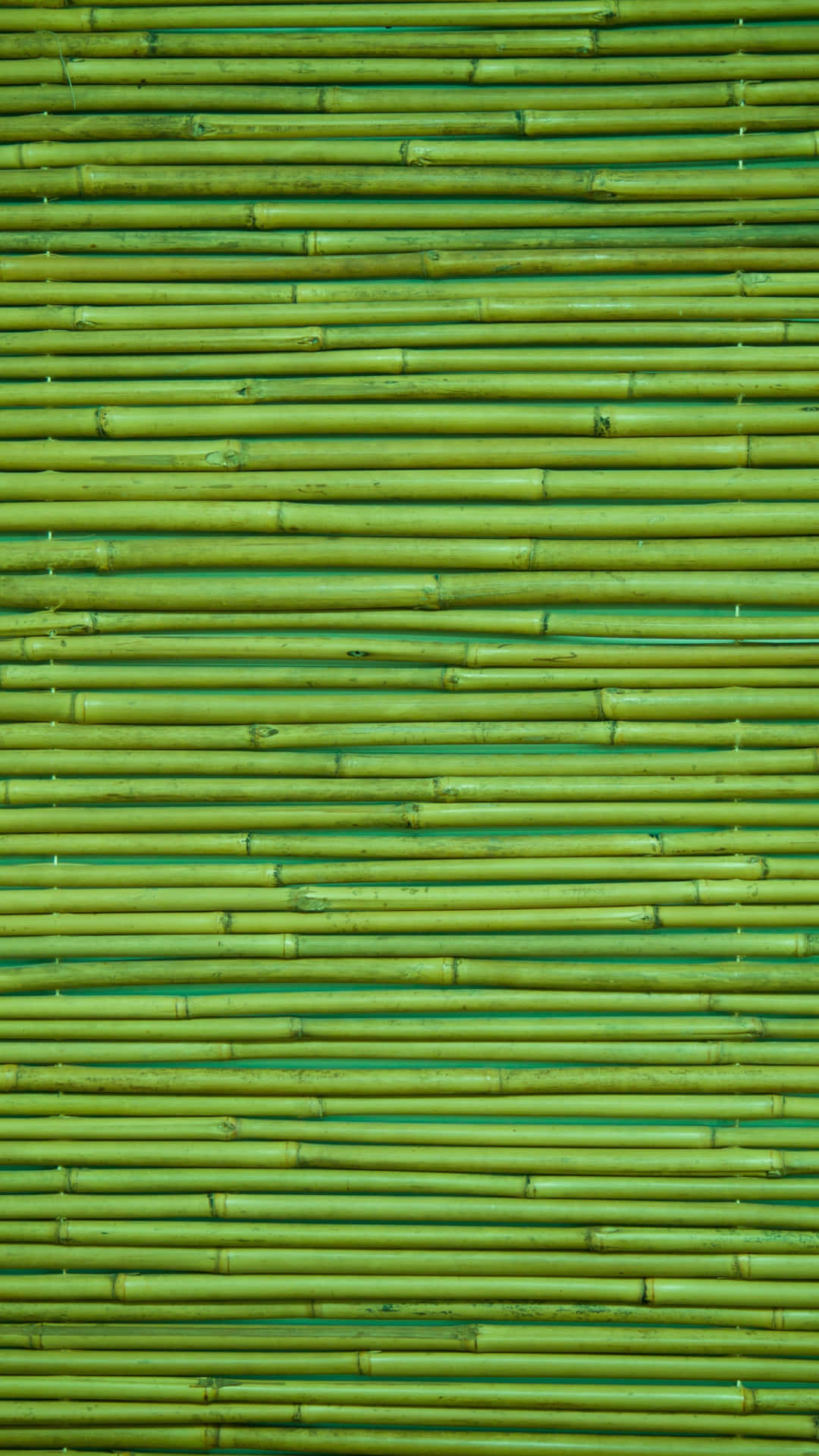 Bamboo Netting Background Photo Wallpaper