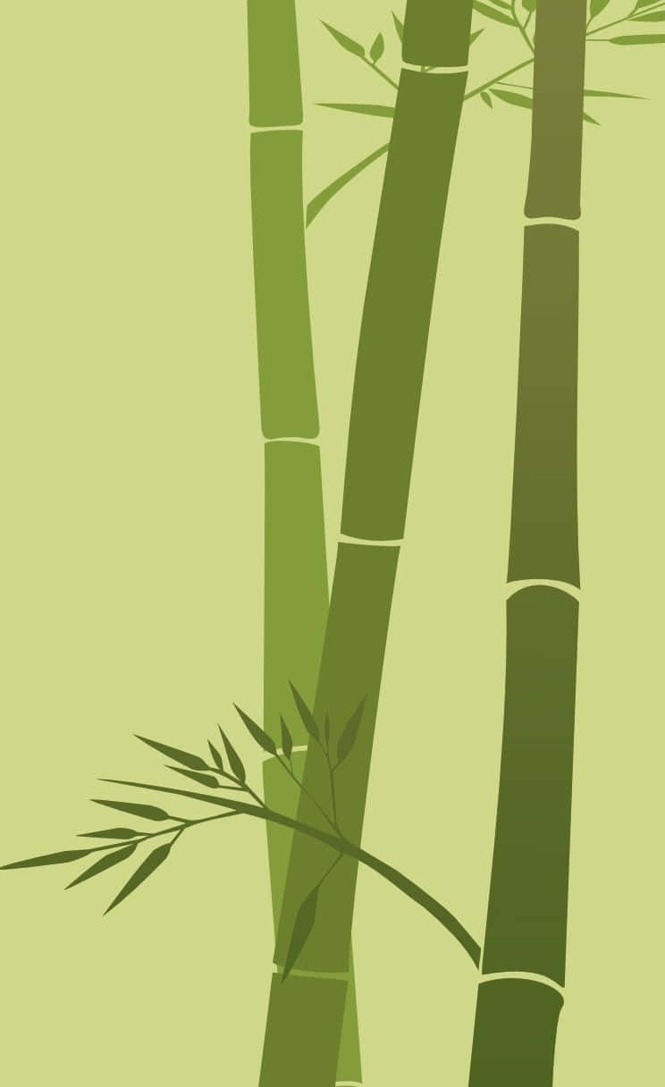 Bambus træ vektorillustration Wallpaper