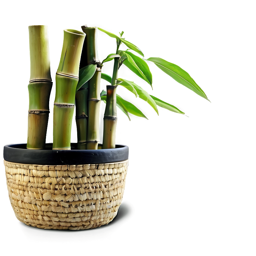 Download Bamboo Plant Pot Png 06122024 | Wallpapers.com