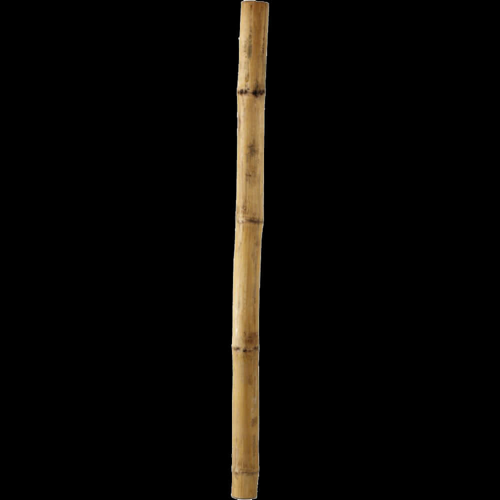 Bamboo Stick Isolatedon Black PNG