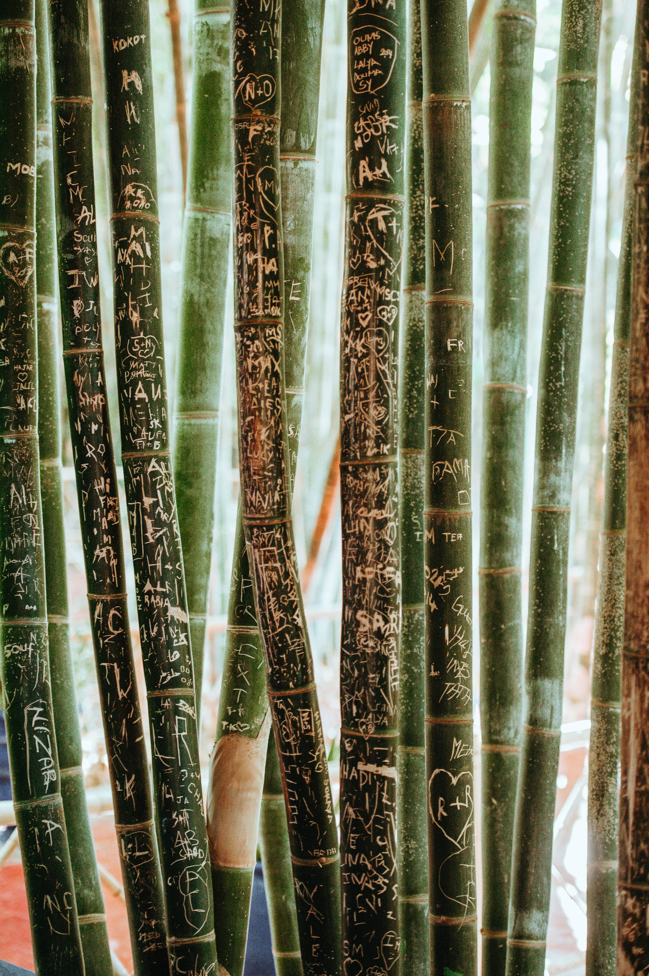 Bamboo Sticks With Text