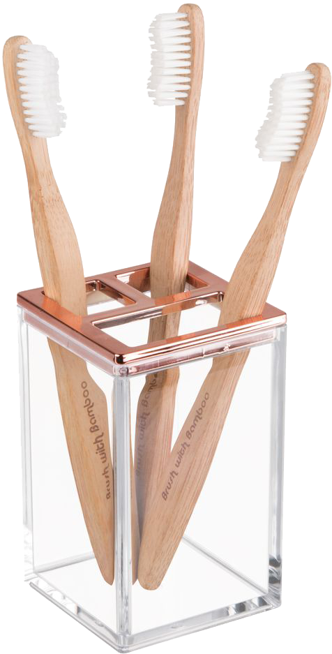 Bamboo Toothbrushesin Holder PNG