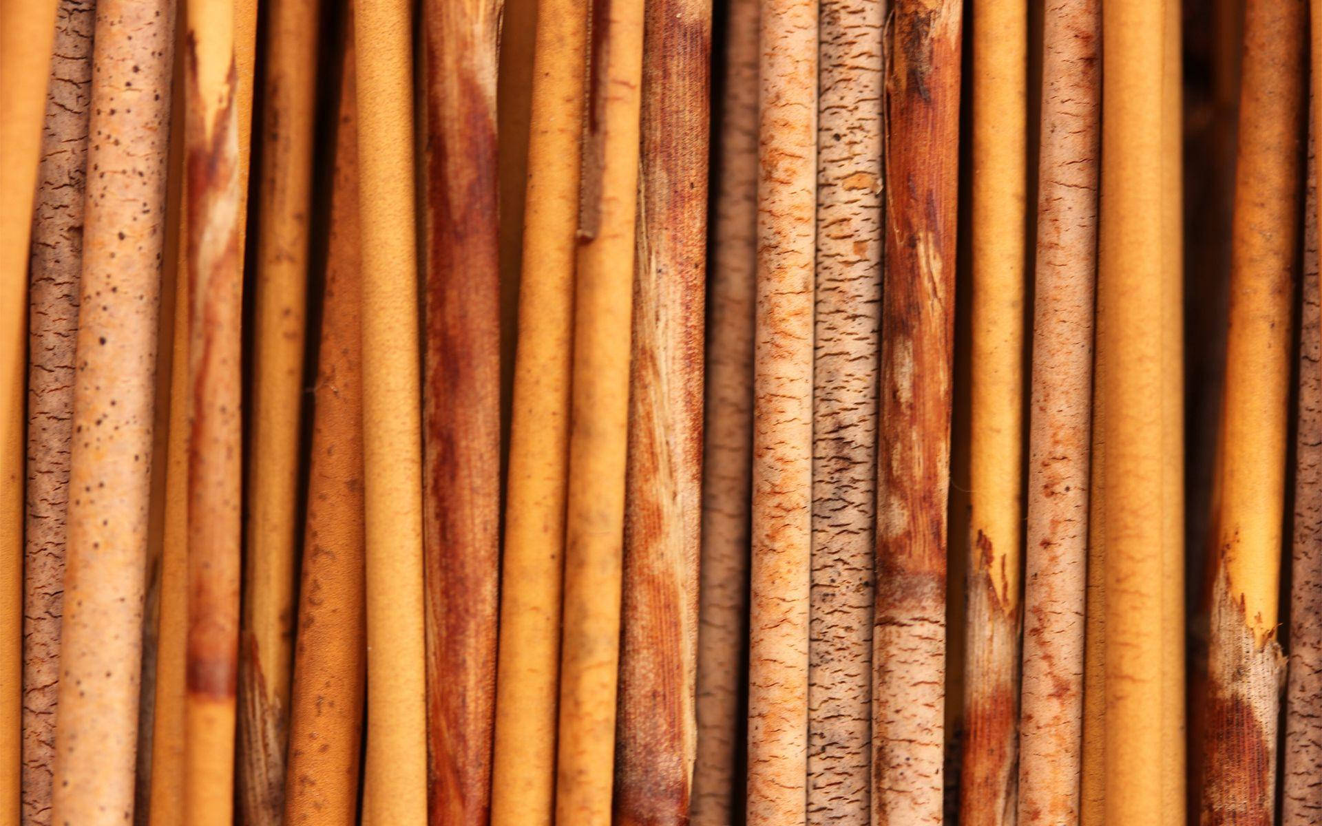 Bambus Træ Texture Wallpaper