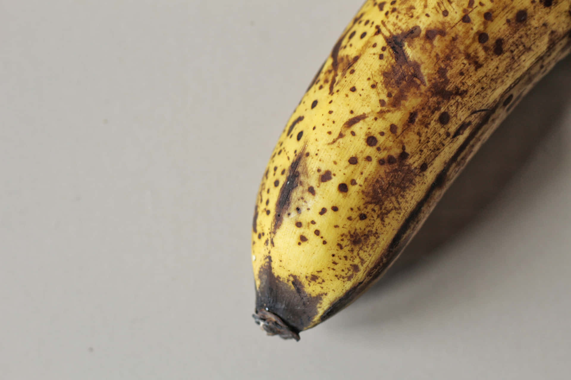 Freshly Picked Bananas