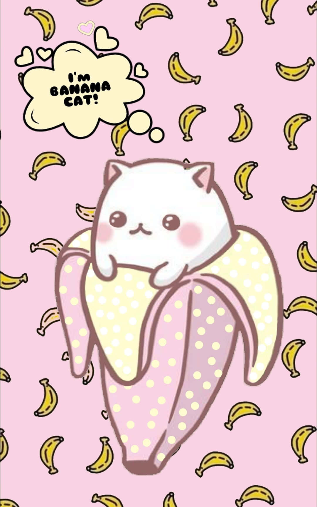 Banana Cat Cute Illustration Wallpaper