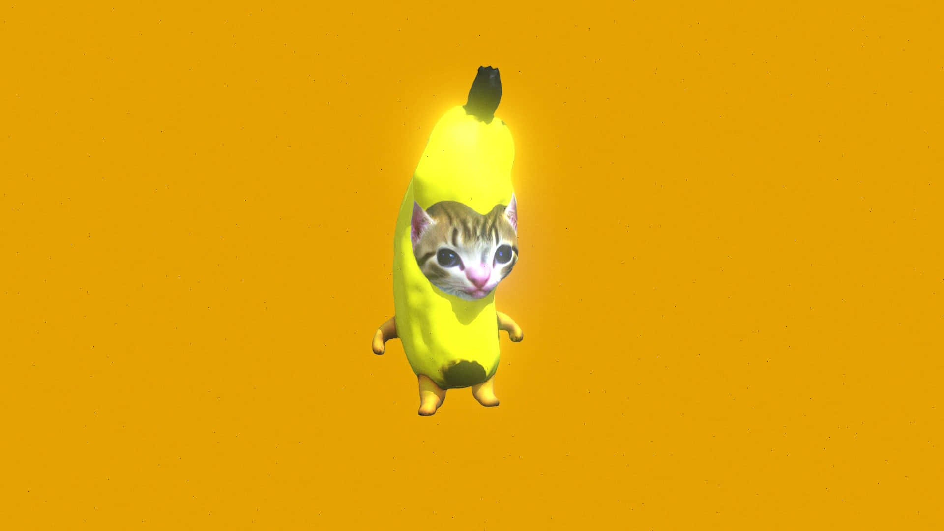 Banana Cat Hybrid Costume Wallpaper