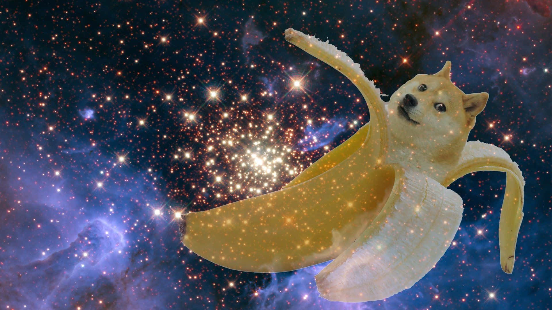 Banana Dog In Space.jpg Wallpaper