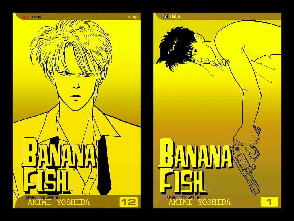 Banana Fish Manga Volume 12