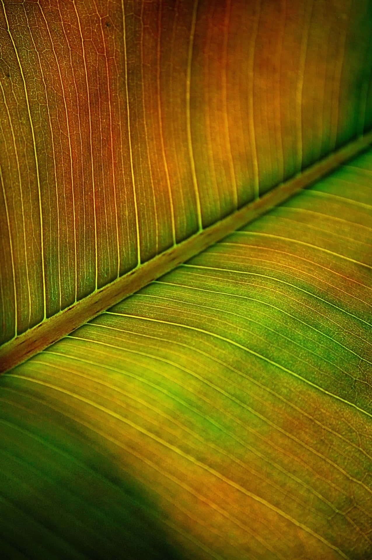 A classic banana leaf backdrop looks as timeless as ever.
