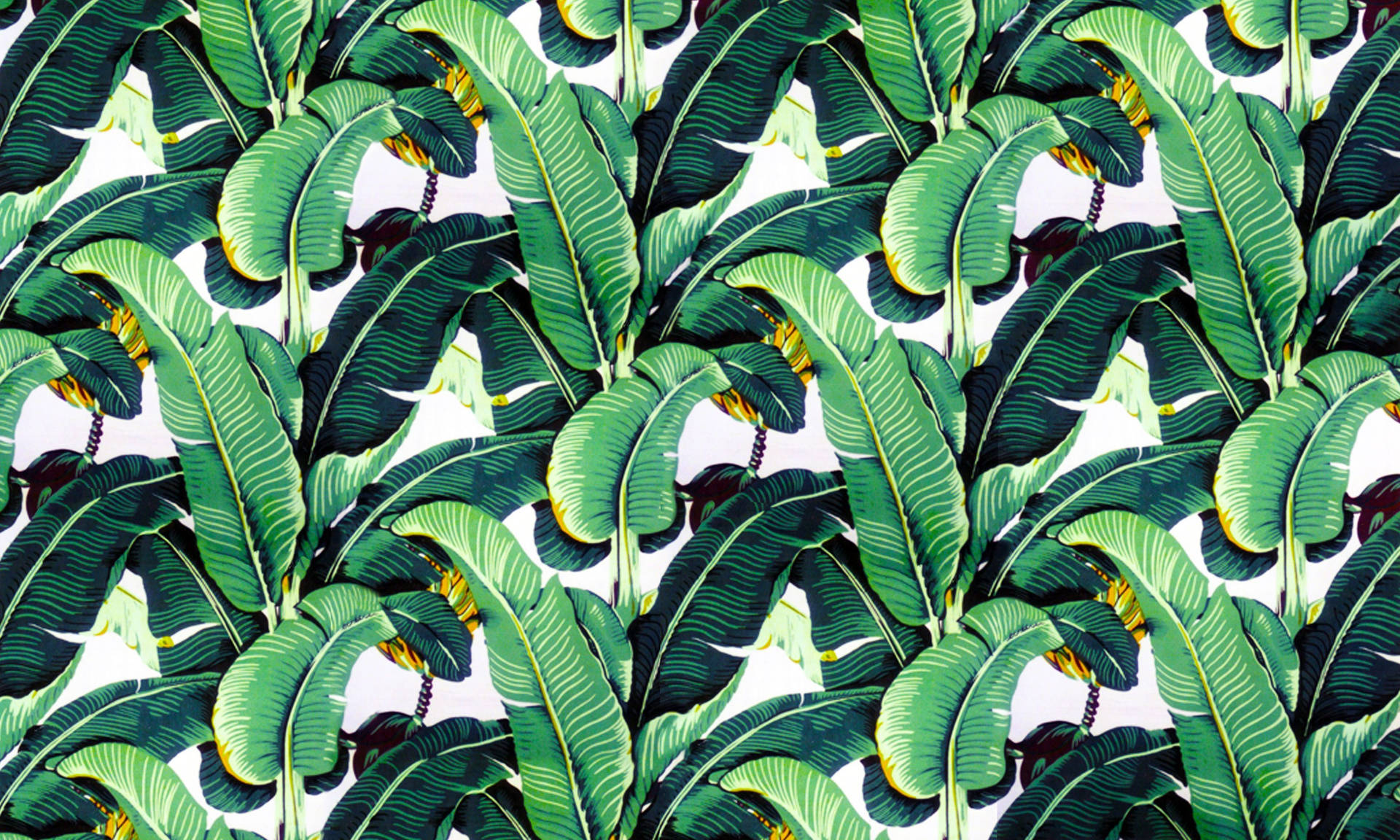 Banana Leaf Digital Mural