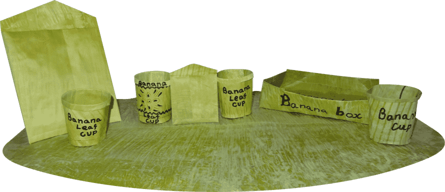 Banana Leaf Eco Friendly Products PNG