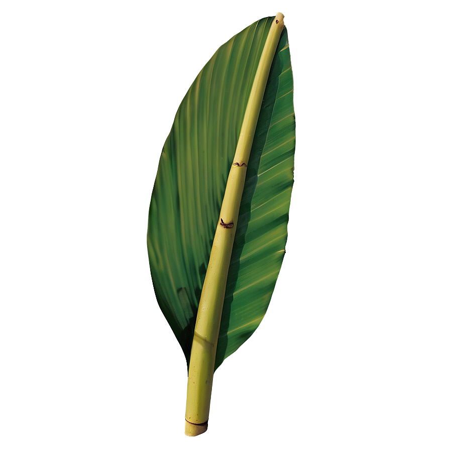 Banana Leaf Natural Png Mqa PNG