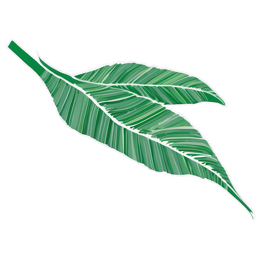 Download Banana Leaf Silhouette Png 06232024 3187