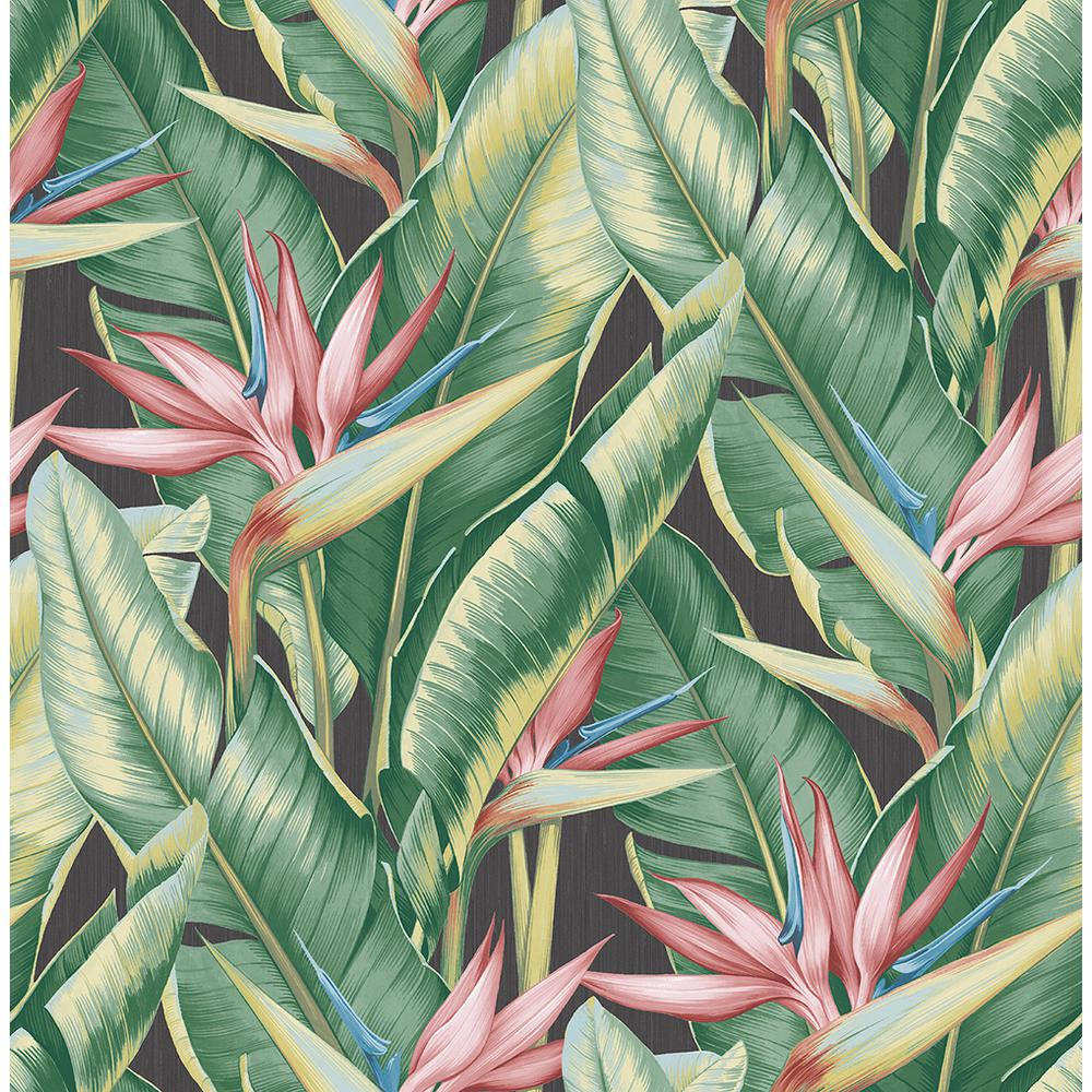 Banana Leaves And Pink Flowers