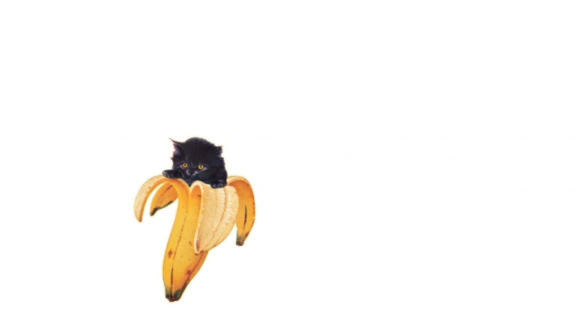 Banana Peeking Black Cat Wallpaper