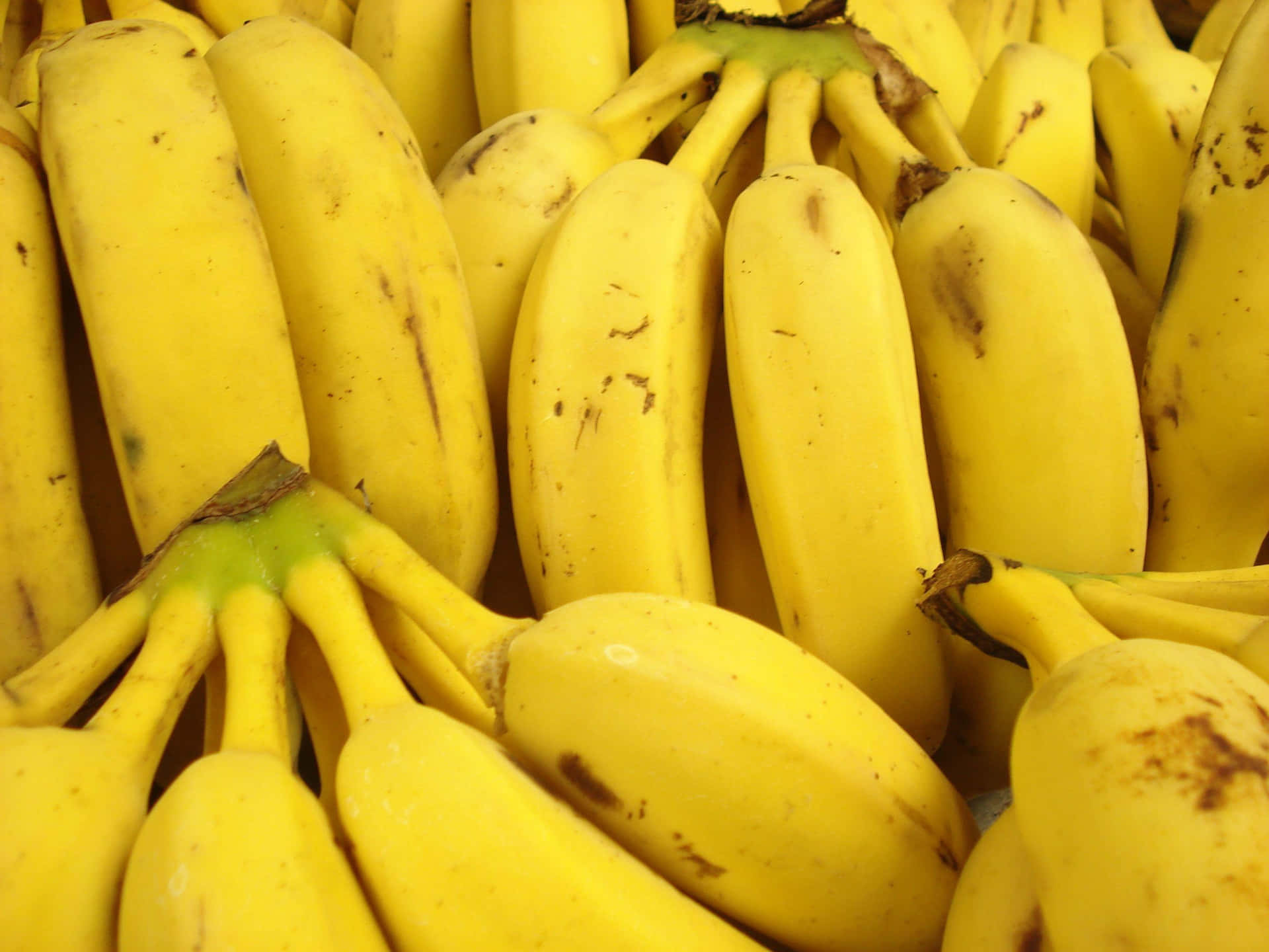 "Fresh, ripe bananas perfect for eating or baking!"