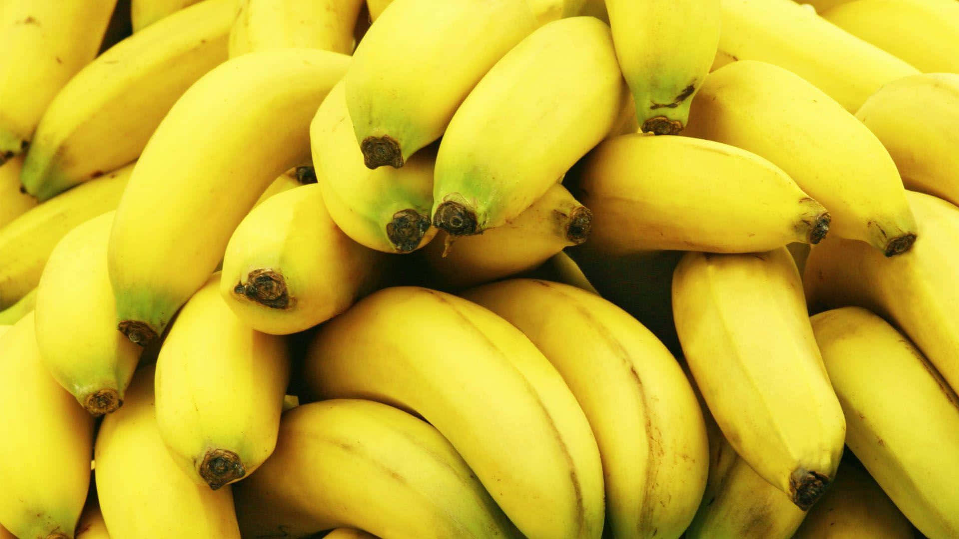 Enjoy a yellow, nutrient-filled banana!