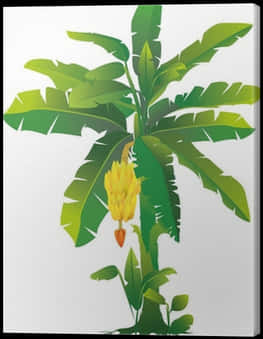Banana Plant Artistic Representation PNG