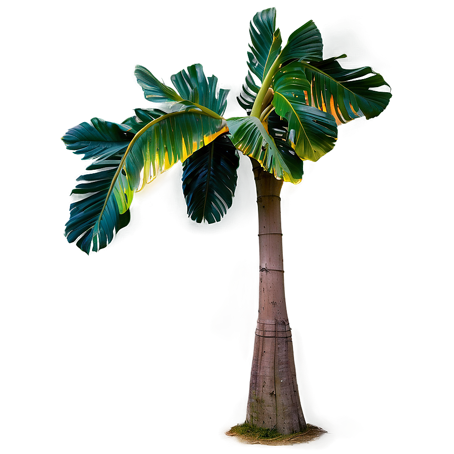 Banana Tree Sunset Background Png Iek PNG