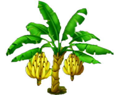 Banana Tree With Bunches PNG