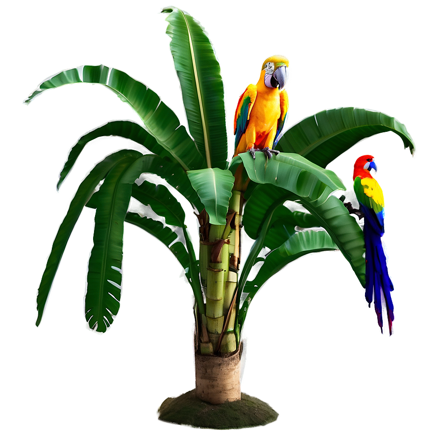 Banana Tree With Parrots Png 06252024 PNG