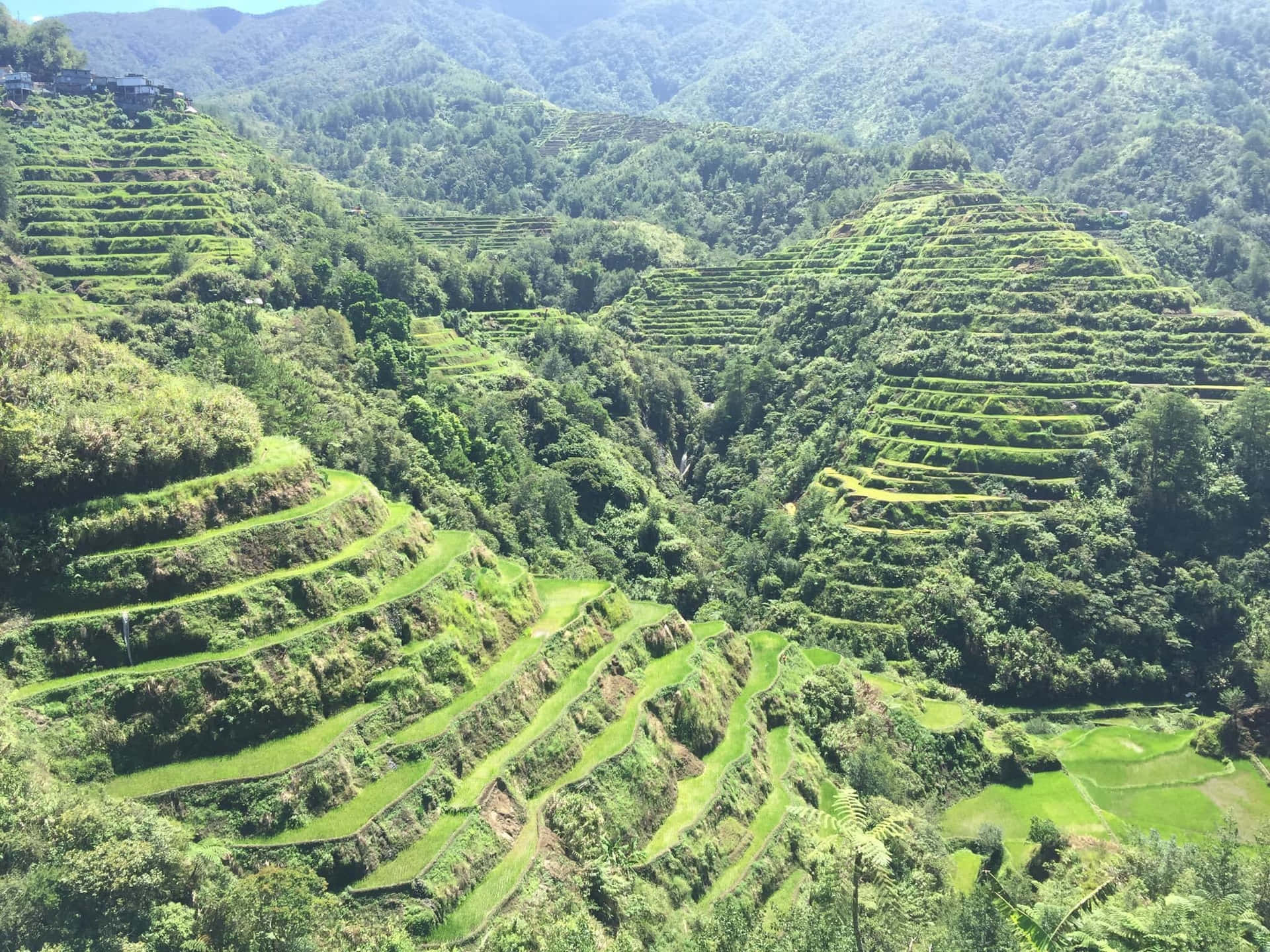 Banaue ris terrasser grøn bjerg i Filippinerne baggrundsbillede Wallpaper