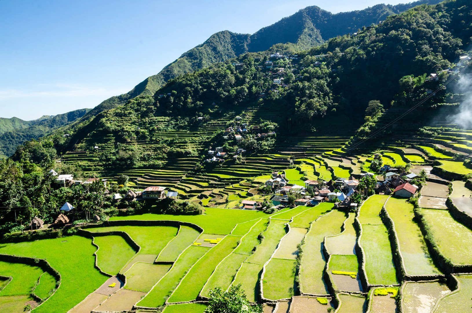 Banaue Rice Terraces I Filippinerne En Solrig Dag Wallpaper