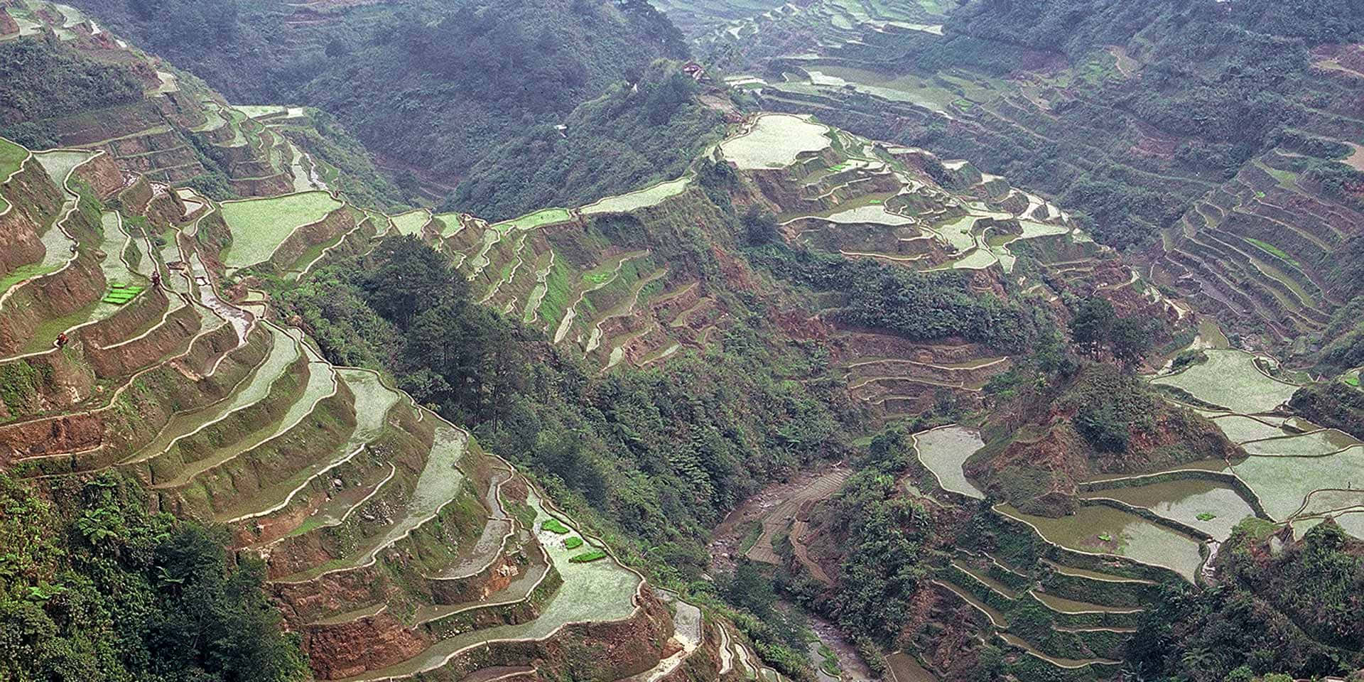 Banaue Rice Terraces In The Philippines Aerial Shot Wallpaper