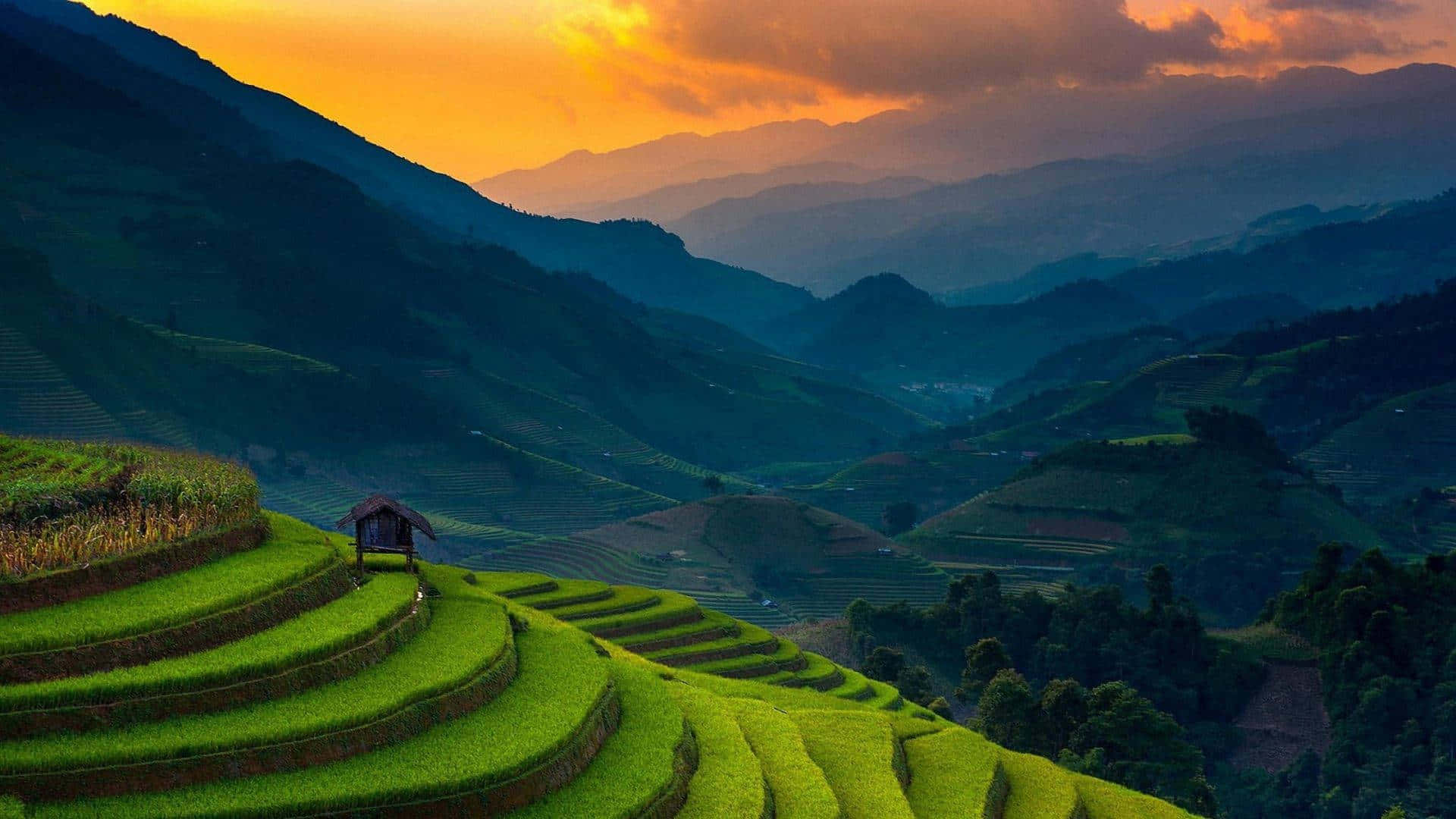 Banaue Rice Terraces In The Philippines During Dusk Wallpaper