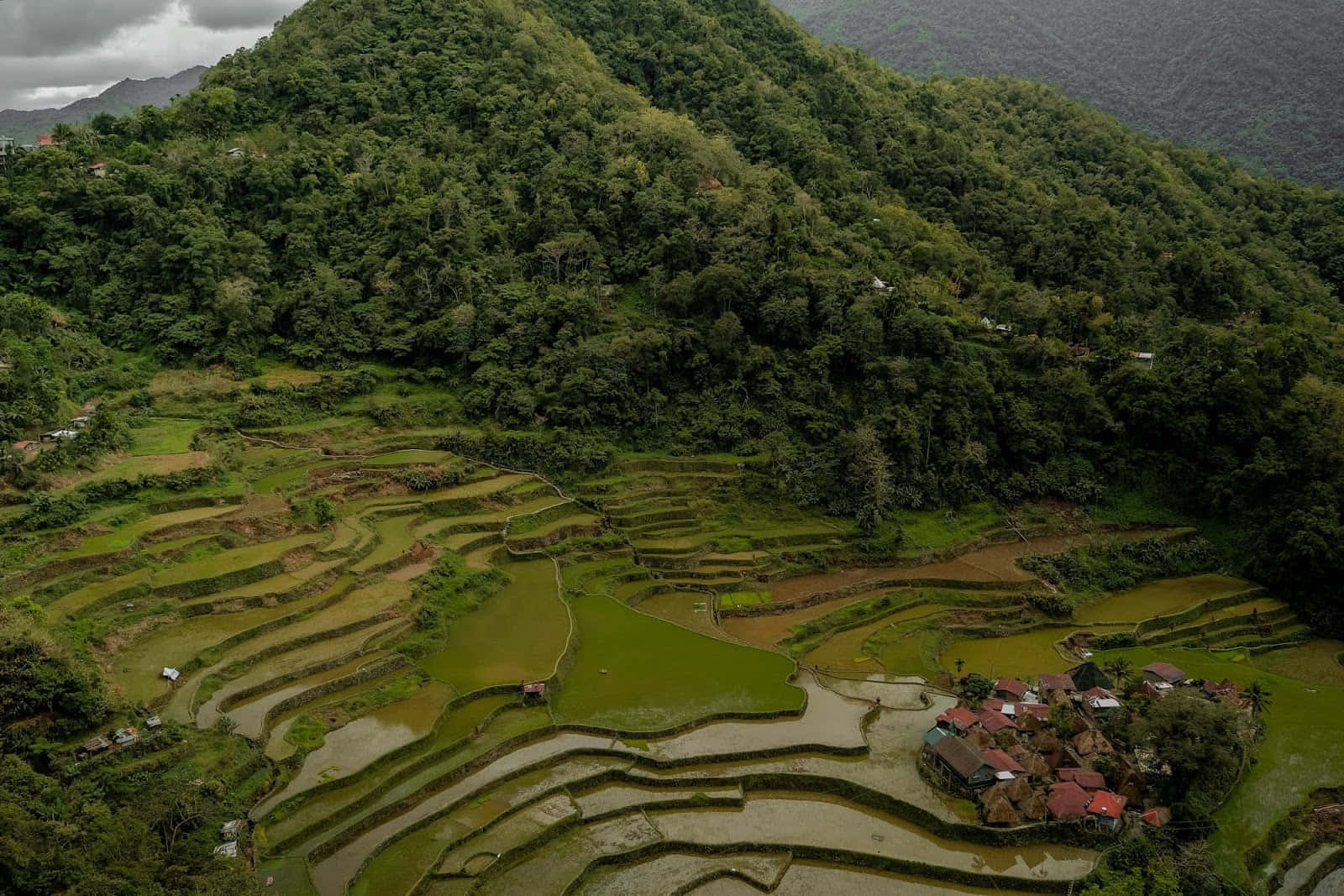 Banaue Rice Terraces In The Philippines During Gloomy Day Wallpaper