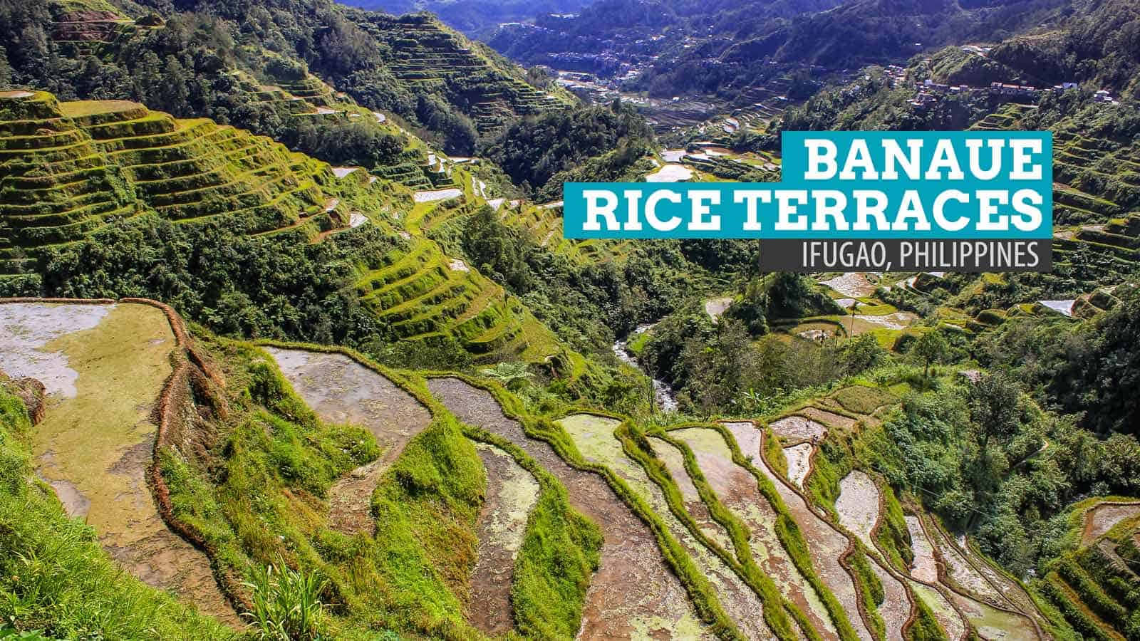 Banauerice Terraces I Filippinerna Från En Högt Belägen Position. Wallpaper