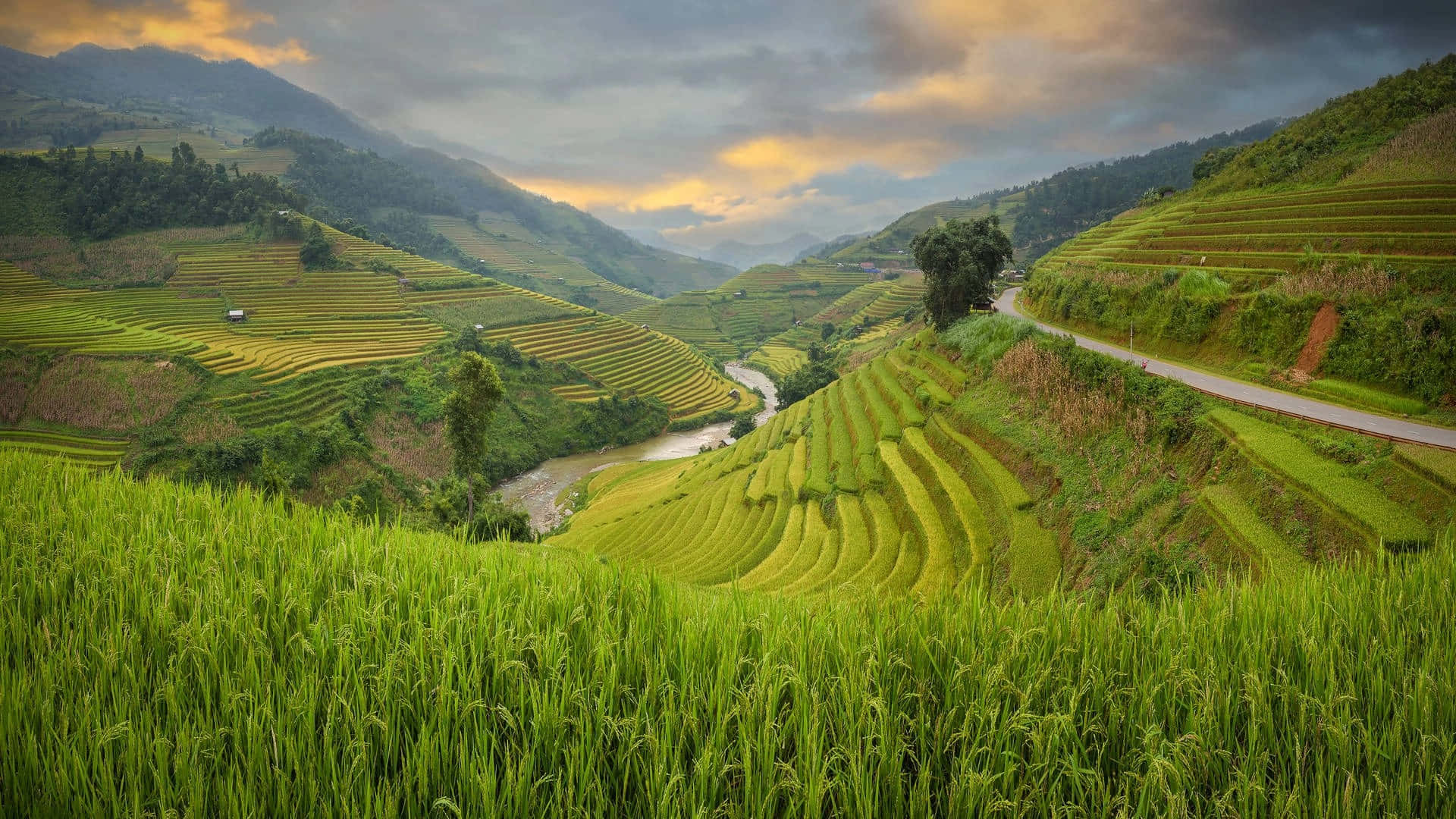 Majestic View of Banaue Rice Terraces, Philippines Wallpaper