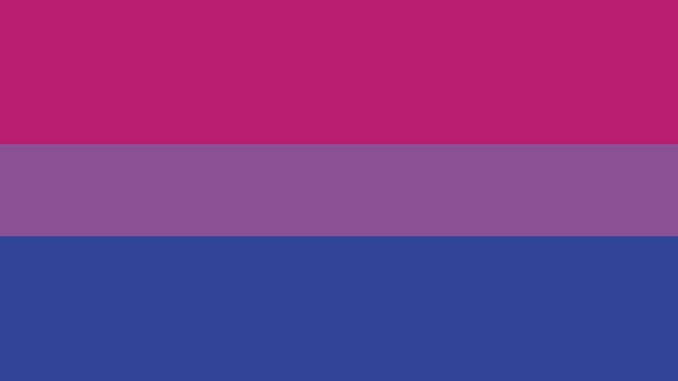 Bandeirabissexual Horizontal. Papel de Parede