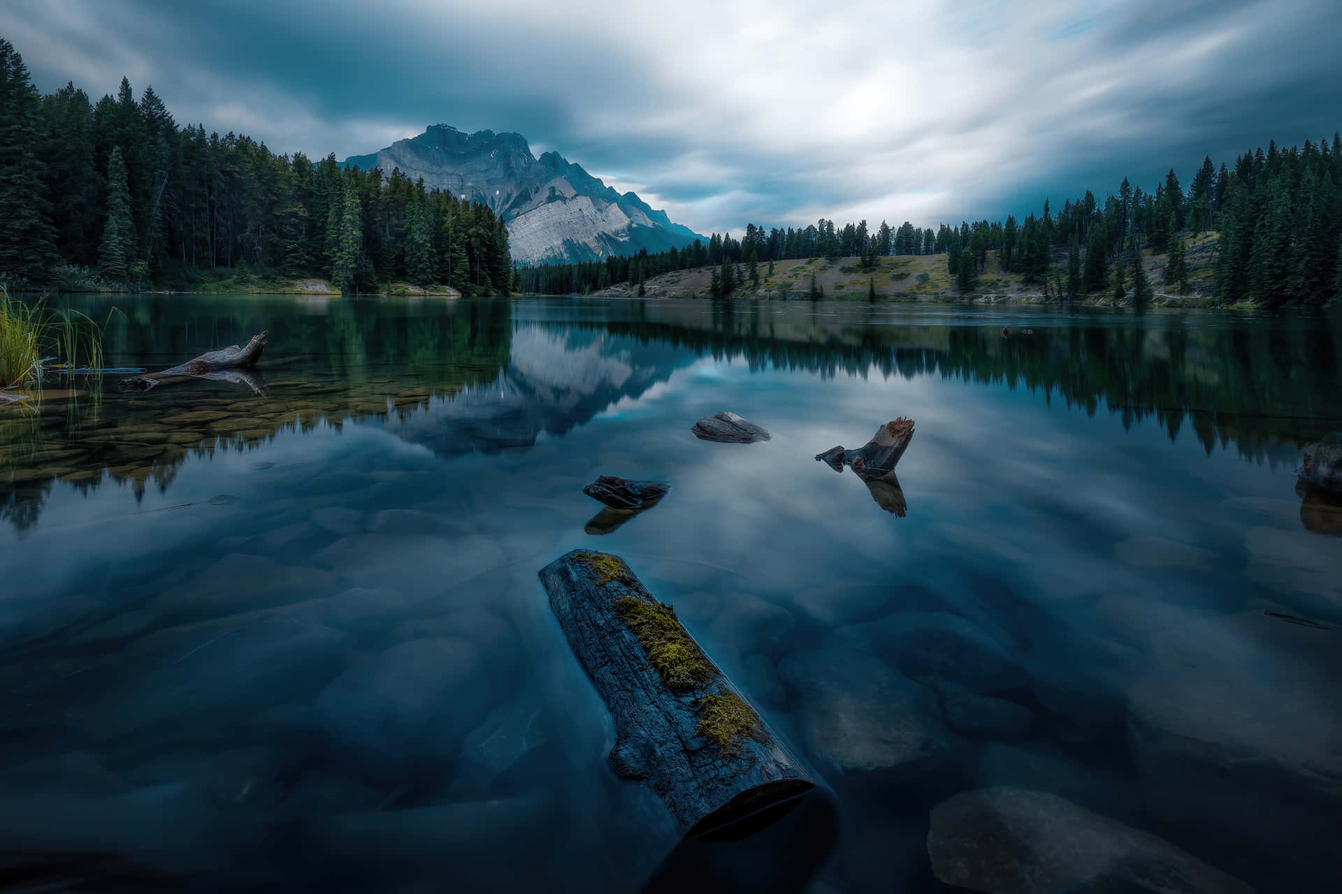 Banff National Park Floating Logs Wallpaper