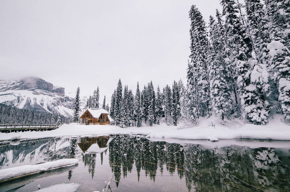 Banff National Park Winter Scenery Wallpaper