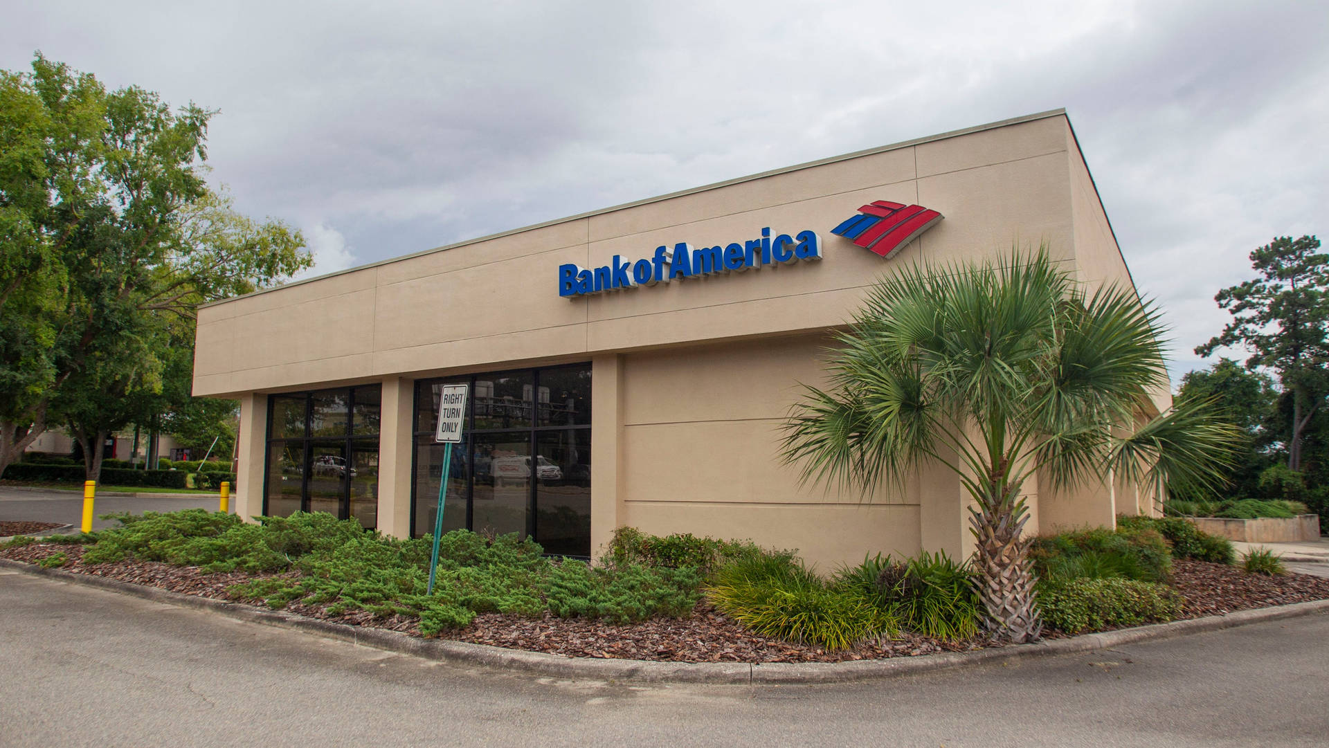 Bank Of America Tallahassee Branch Picture