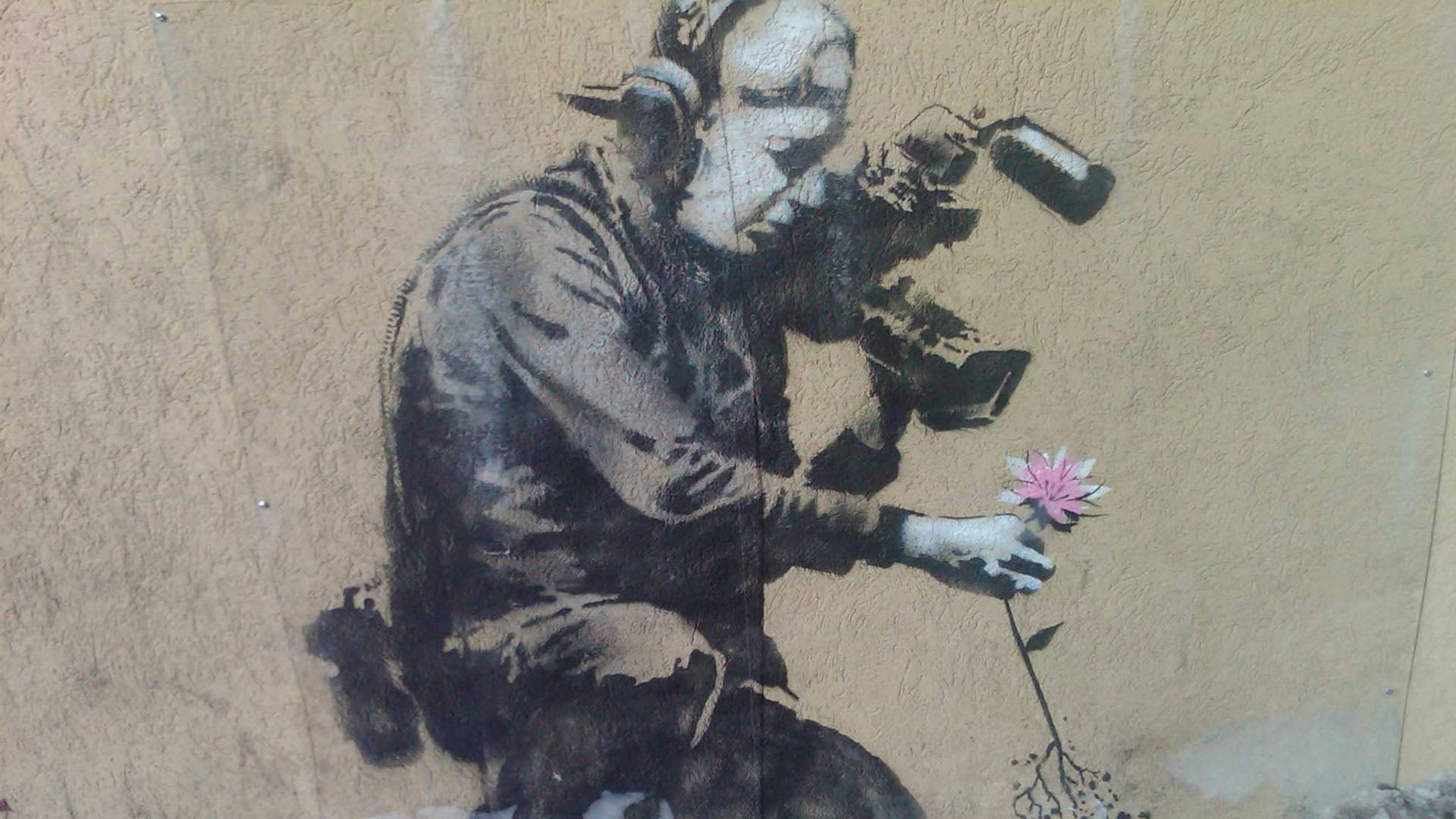 Banksy Cameraman And Flower Art Wallpaper