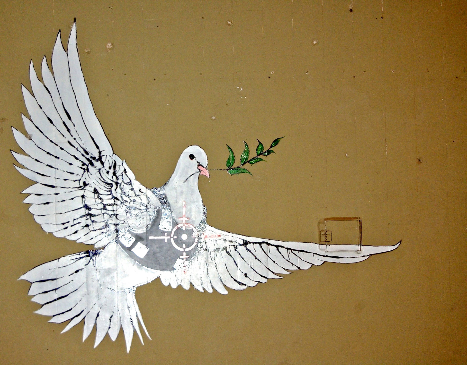 Banksy Hvid Fredsdue Wallpaper