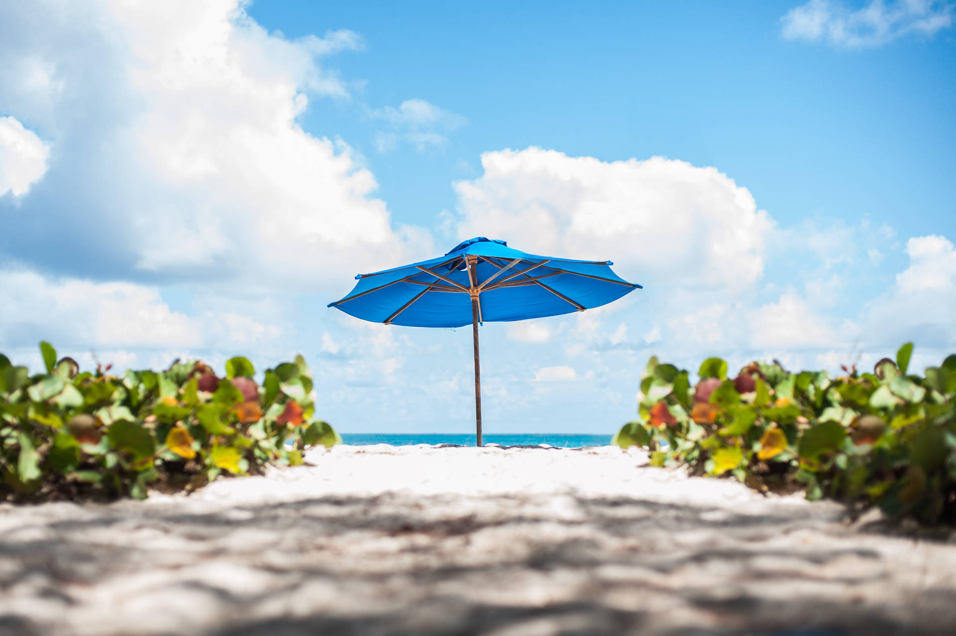 Barbados Beach Umbrella