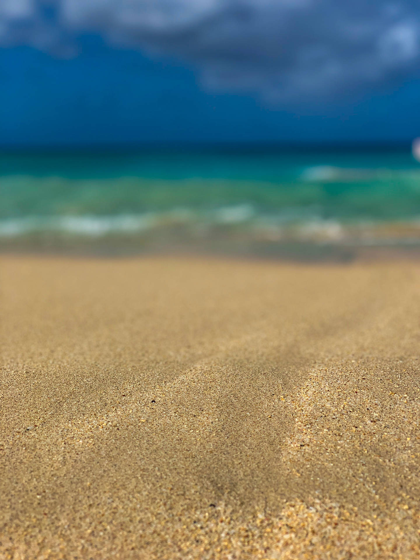 Barbados Brittle Sand