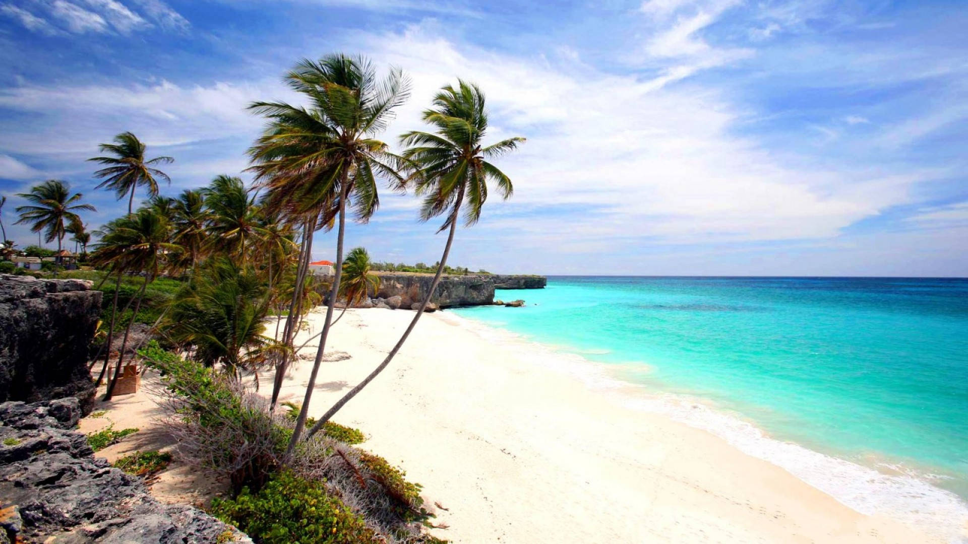 Barbados Calm Island