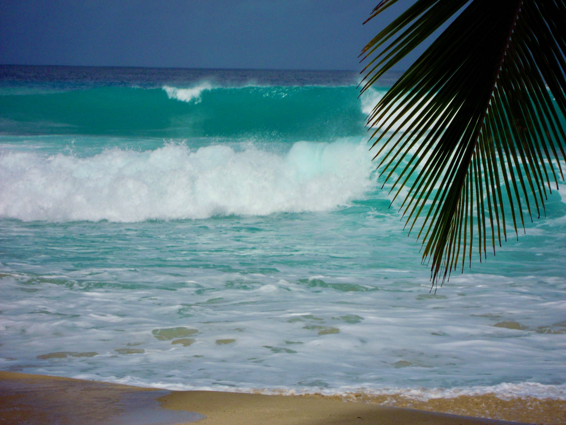 Barbados Hav Bølger Wallpaper